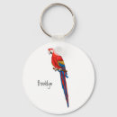 Search for macaw parrot key rings Pet