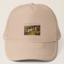 Search for setter hats Dog