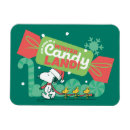 Search for winter magnets Charles schulz