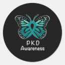 Search for kidney disease ribbon stickers Warrior