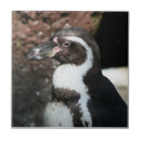 Search for penguin tiles Animal