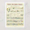 Search for school chart postcards Educational