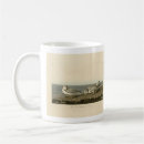 Search for audubon birds mugs Illustration