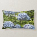 Search for blue hydrangea cushions Blooms