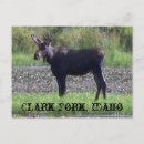 Search for fork postcards Nature