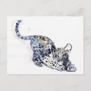 Search for stretching postcards Cute