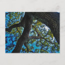 Search for limits postcards Sky