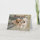Search for labrador thank you cards Dog