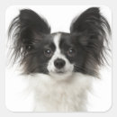 Search for papillon stickers Puppy