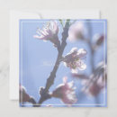 Search for beautiful blossom cards Happy