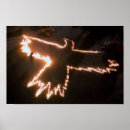Search for fire bird posters Manga