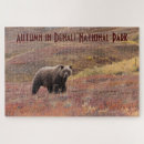 Search for grizzly bear puzzles Alaska