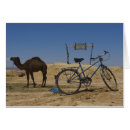 Search for arid Camels