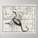 Search for vintage astronomy posters Celestial