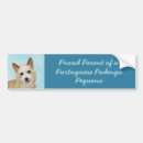 Search for portuguese bumper stickers Dog