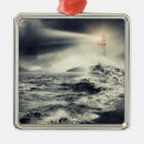 Search for storm christmas tree decorations Beach