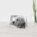 Search for golden retriever cards Puppy