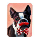 Search for bowtie magnets Dog