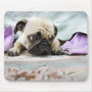 Search for loneliness mousepads Animal