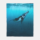 Search for humpback whale blankets Whales