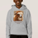 Search for quirky hoodies Humour