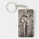 Search for giraffe pictures key rings Zoo