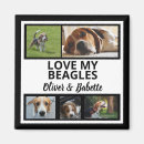 Search for dog owners magnets Beagle
