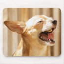 Search for laughing mousepads Dog