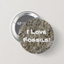 Search for fossils badges Geology