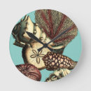 Search for algae art Sand dollar