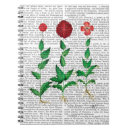 Search for italian notebooks Carnation