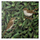 Search for olive tree tiles Botanical