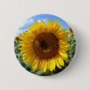 Search for sun flower badges Plant