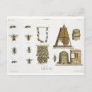 Search for matthias postcards Trentsensky
