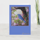 Search for spring time cards Nature