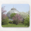 Search for the isle mousepads Island