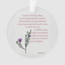 Search for plant christmas tree decorations Botanical