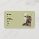 Search for maine coon office school Pet