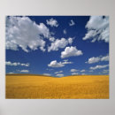 Search for prairie art Yellow