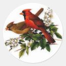 Search for male and female stickers Birds