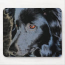 Search for black border mousepads Animal