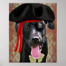 Search for labrador posters Pirate