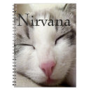 Search for nirvana Cat