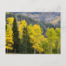 Search for deciduous postcards Autumn