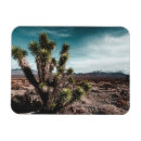 Search for desert magnets Phoenix arizona