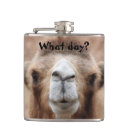 Search for camel barware Animal