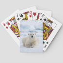 Search for adult playing cards Bear