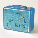 Search for dolphin lunch boxes Back to school