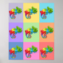 Search for rainbow colours posters Trendy
