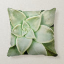 Search for succulent cushions Botanical
